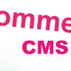 ecommerce-cms